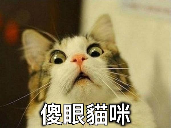 今日國中班正常發揮。