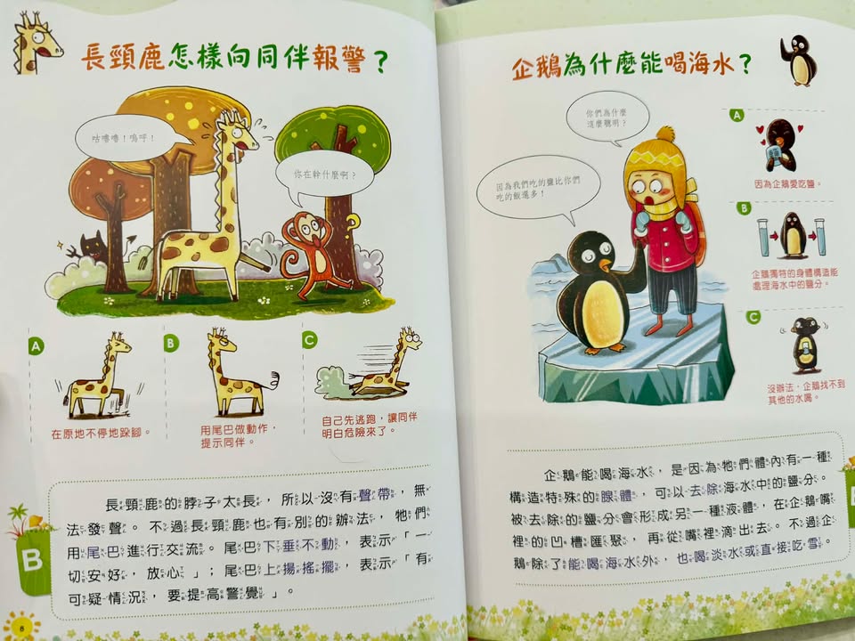 照片